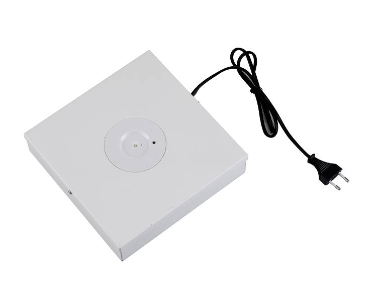 Đèn chiếu sáng khẩn cấp D40-S