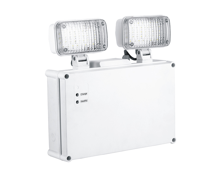 2921 Twin SPON SPOT LIGHT IP65
