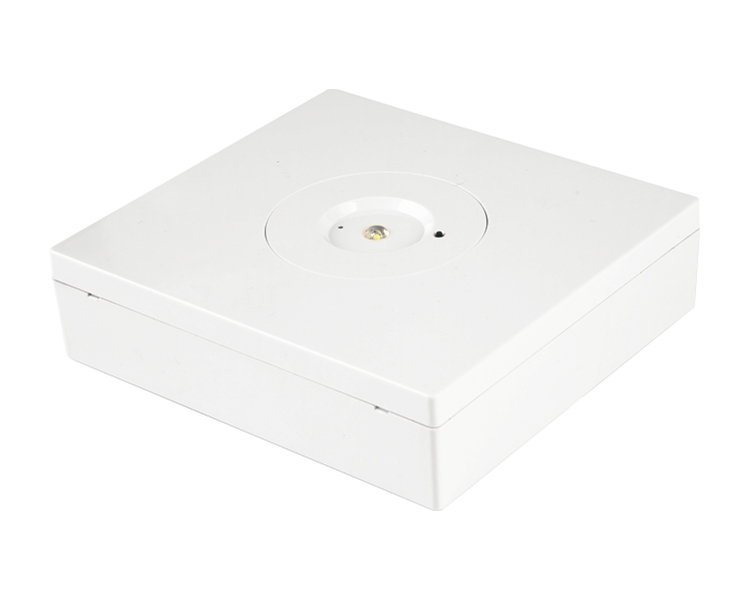 Đèn chiếu sáng khẩn cấp D40-S