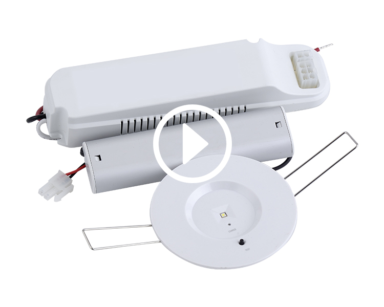 Đèn chiếu sáng khẩn cấp D40-R-1