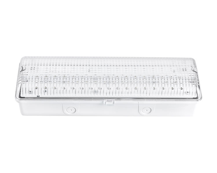 LE502L IP65 50 Đèn khẩn cấp chống thấm nước