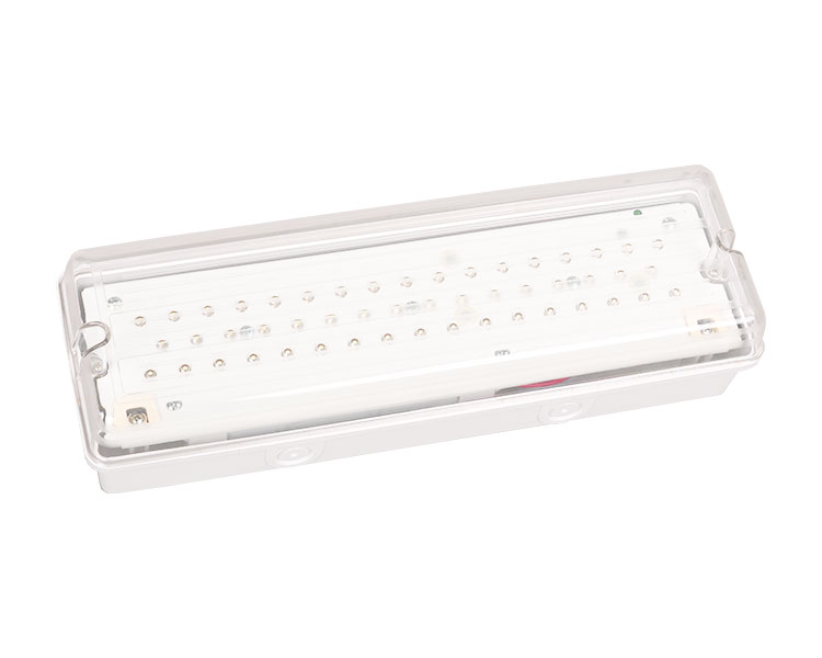 LE502L IP65 50 Đèn khẩn cấp chống thấm nước