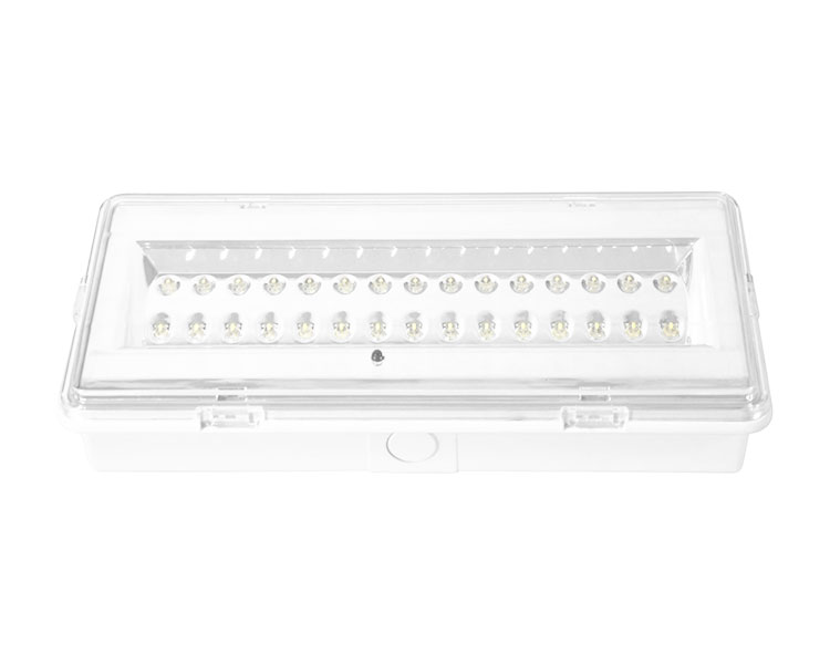 LE503L Đèn khẩn cấp chống thấm LED không được duy trì